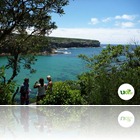 Sydney Day Tour - Wattamolla