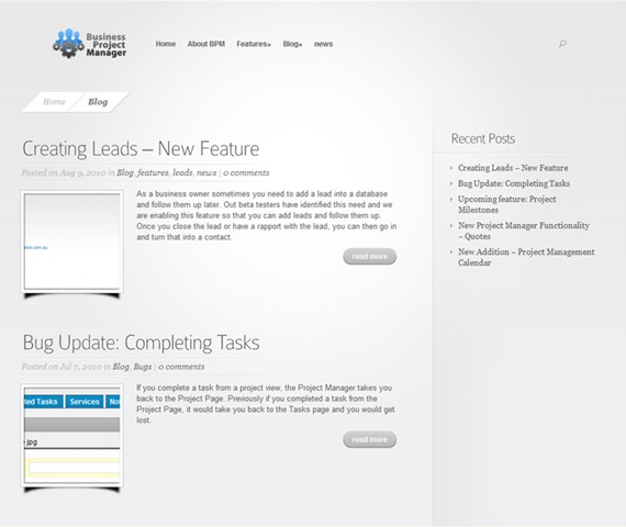 Business Project Manager WordPress Website